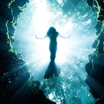 sirensolv's profile picture