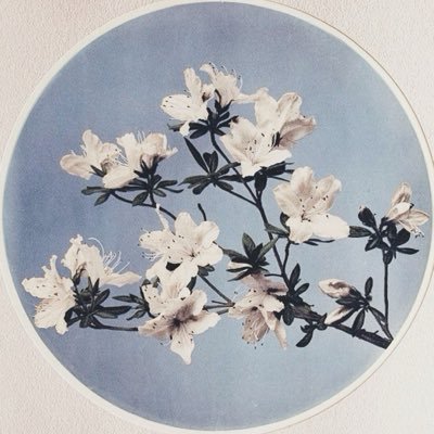.'s profile picture