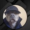 Peter n son's's profile picture