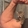 å·Šè³'s profile picture