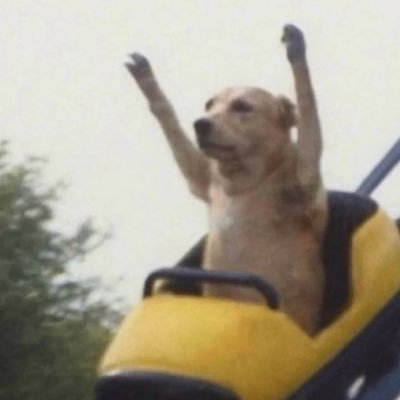 camila's profile picture
