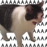 dhsksfnmb's profile picture