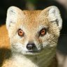 Profilbild von Silas Long