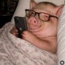 Profilbild von Sid Dowling