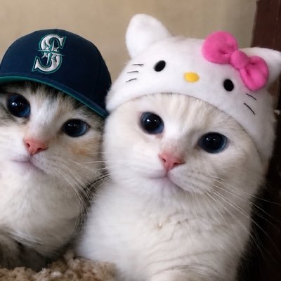 morg's profile picture