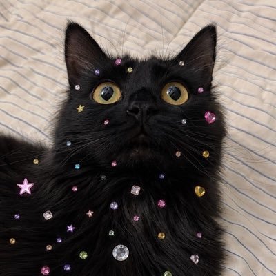 Chris E. Teigen's profile picture