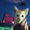 ✯ juiccy ✯ profil fotoğrafı