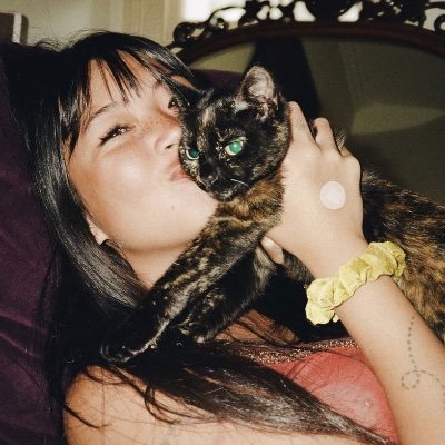 lcveinfilm's profile picture