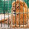 S profil fotoğrafı