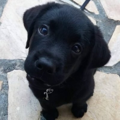 yourgfjuli's profile picture