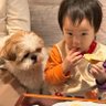 Ayako profil fotoğrafı