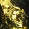 AnoobisGaming profil fotoğrafı