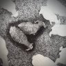 Archiwaw 🔻 profil fotoğrafı