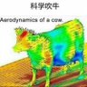 Фото профиля 科学吹牛