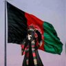Profilbild von مسعود پنجشیری/Masoud Panjshiri