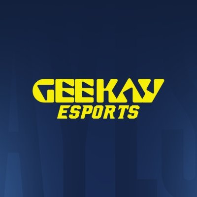 geekay_esports's profile picture