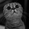 Profilbild von Lali
