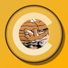 solscape's profile picture