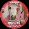 กอนเจย่า (kornJaya)🍻☔🏳️🌈 的头像