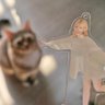 猫Cc 的头像