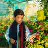 Rahim jan Ameri 的头像