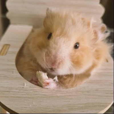 น้อบแน้บ 1%'s profile picture