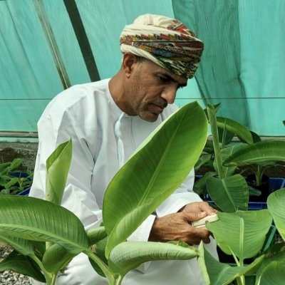 NASSER_SSW's profile picture