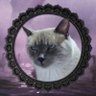 Profilbild von Liliane Jane 🪽
