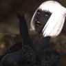 Ruri Rotten the Foot Witch's profile picture