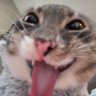 ปาณวัตฒ์'s profile picture
