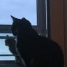 nowlove profil fotoğrafı