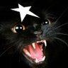 🖤 Cat_Gat ||*|| 🪂 ⊲∨vÜv∨⊳'s profile picture