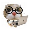 Profilbild von catbot