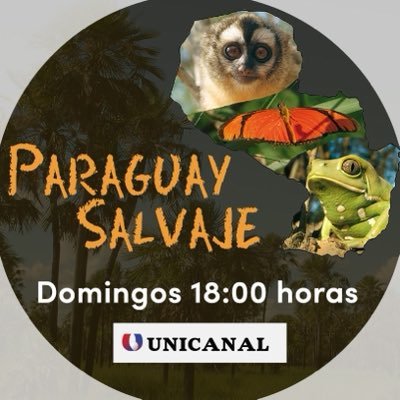 ParaguaySalvaje's profile picture