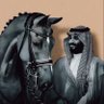 ايــوب ابــن شـطينه🇸🇦's profile picture
