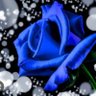 𝑨𝒚𝒂𝒌𝒂🧸💟🔱💎🍷💙🦔🌋🤍🕊💍💎⛓️'s profile picture