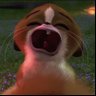 Profilbild von rafe