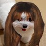 lucifer cookie's profile picture