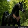 فجر الحرية profil fotoğrafı