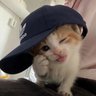 น้ำตาล🍯's profile picture
