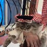 Фото профиля هلال الرشيد