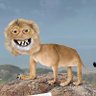 محمد صغراوي's profile picture