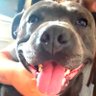 robert lee foster's profile picture