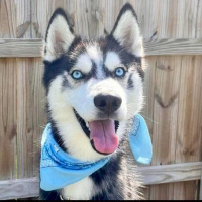 Jeejeeq1's profile picture