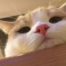 Profilbild von jusi