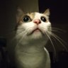 Profilbild von 一枚錢錢