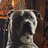 Profilbild von Sergey