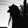DaFives's profile picture