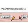 Profilbild von # LULA NO PRIMEIRO TURNO - #LulaTetra