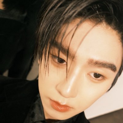⋆。˚₊ 𝑆𝑆 🦊 ༉⋆'s profile picture